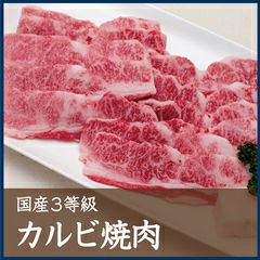 国産3等級カルビ焼肉　500g 